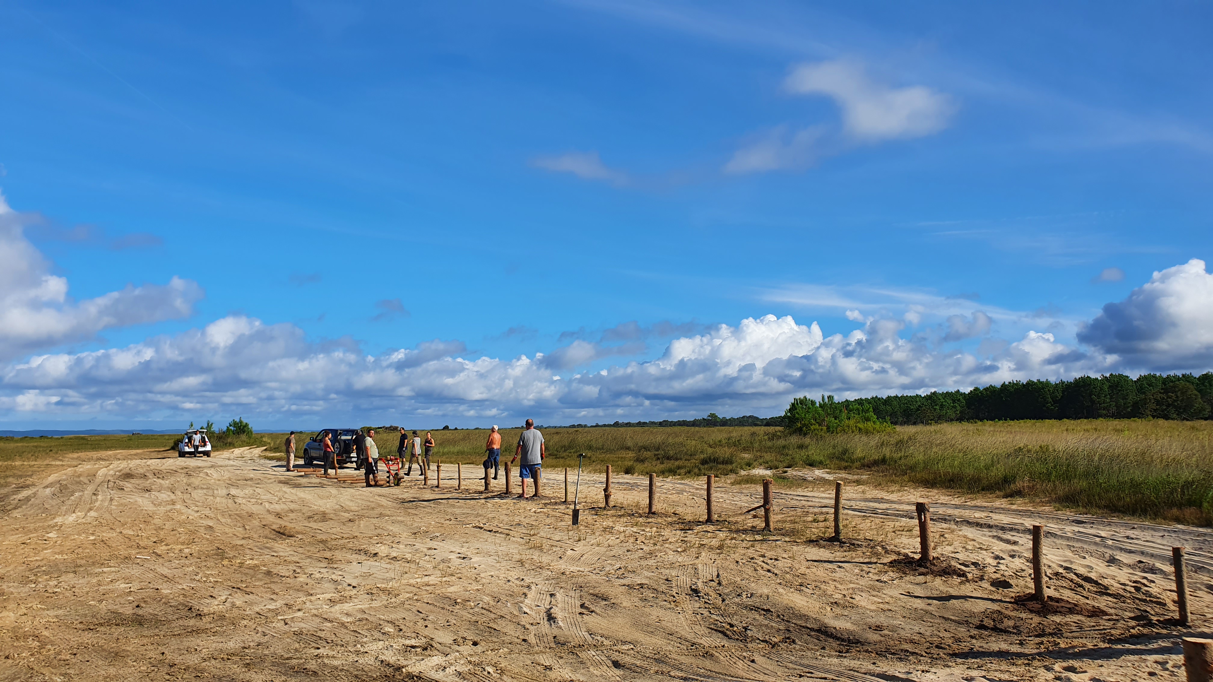 Chantier participatif de préservation des rives du lac à Carcans