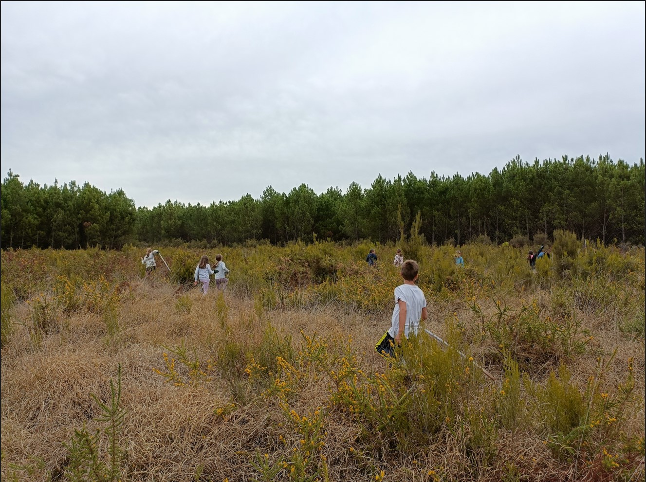 Ecole de Carcans, balade et chantier nature dans le cadre des 48 h Nature ! Ecole de Carcans, balade et chantier nature dans le cadre des 48 h Nature !