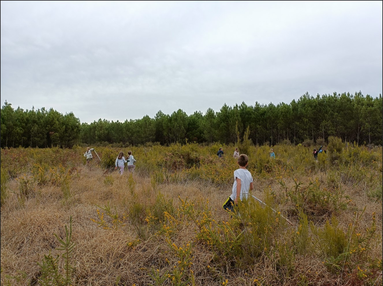 Ecole de Carcans, balade et chantier nature dans le cadre des 48 h Nature !