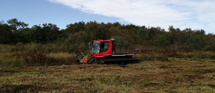 Chantiers d’automne sur les zones humides des lacs Médocains Chantiers d’automne sur les zones humides des lacs Médocains