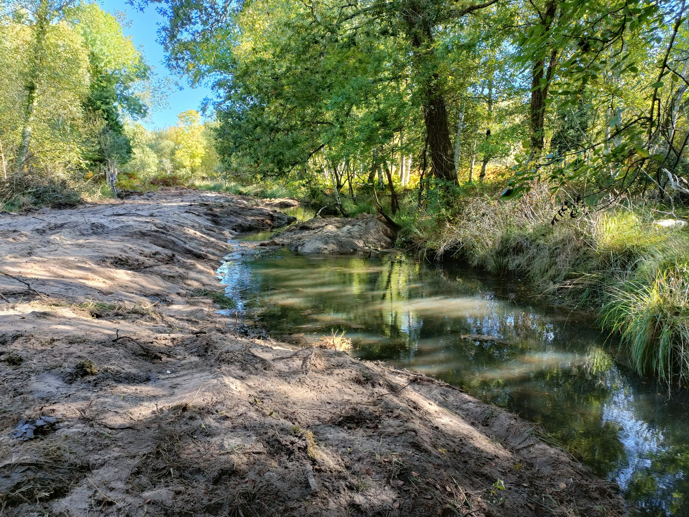 Travaux de restauration sur la Berle de Caillava / Lupian à Hourtin