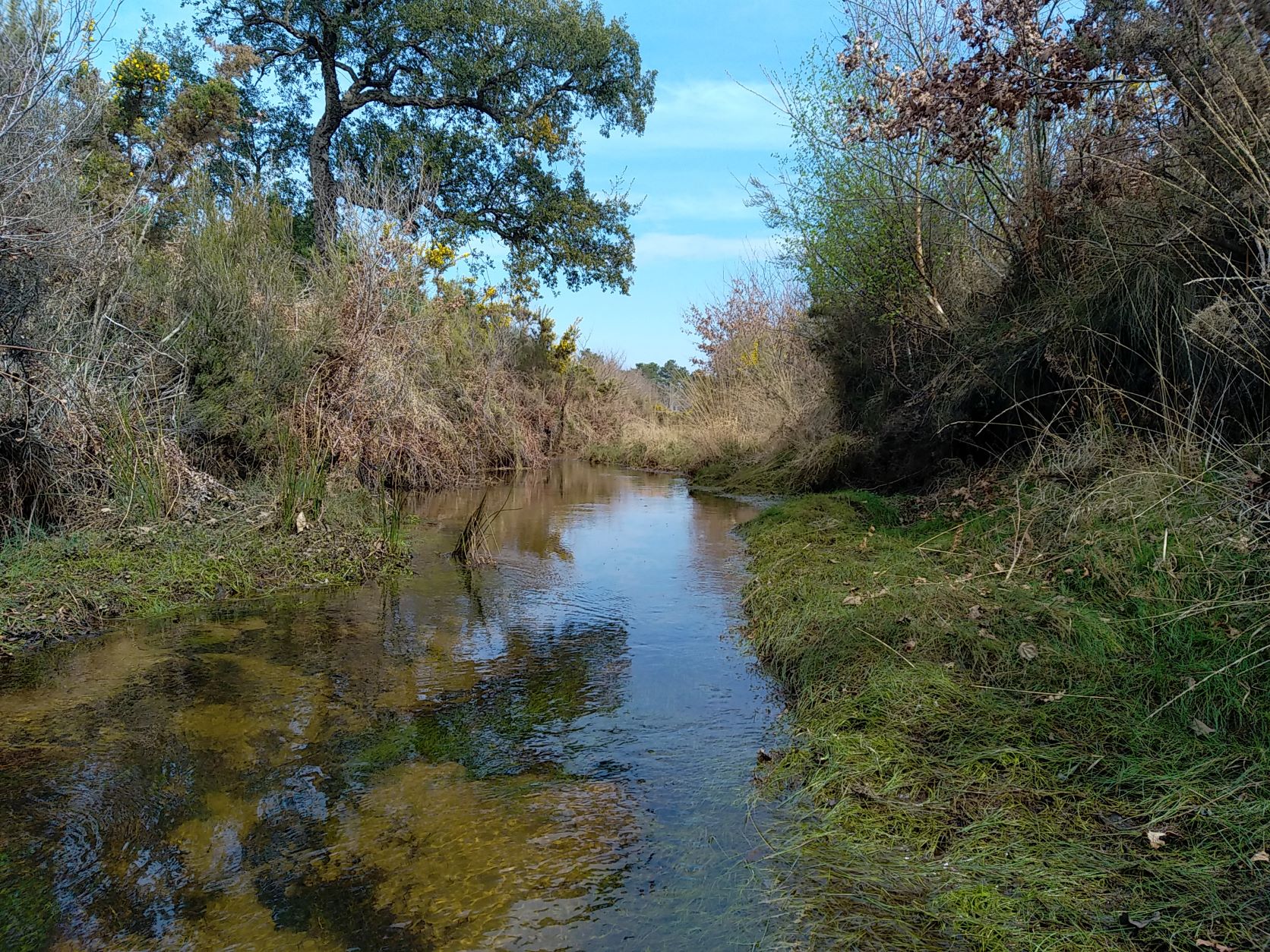 Les travaux cours d’eau sont en cours et l’eau manque toujours Les travaux cours d’eau sont en cours et l’eau manque toujours