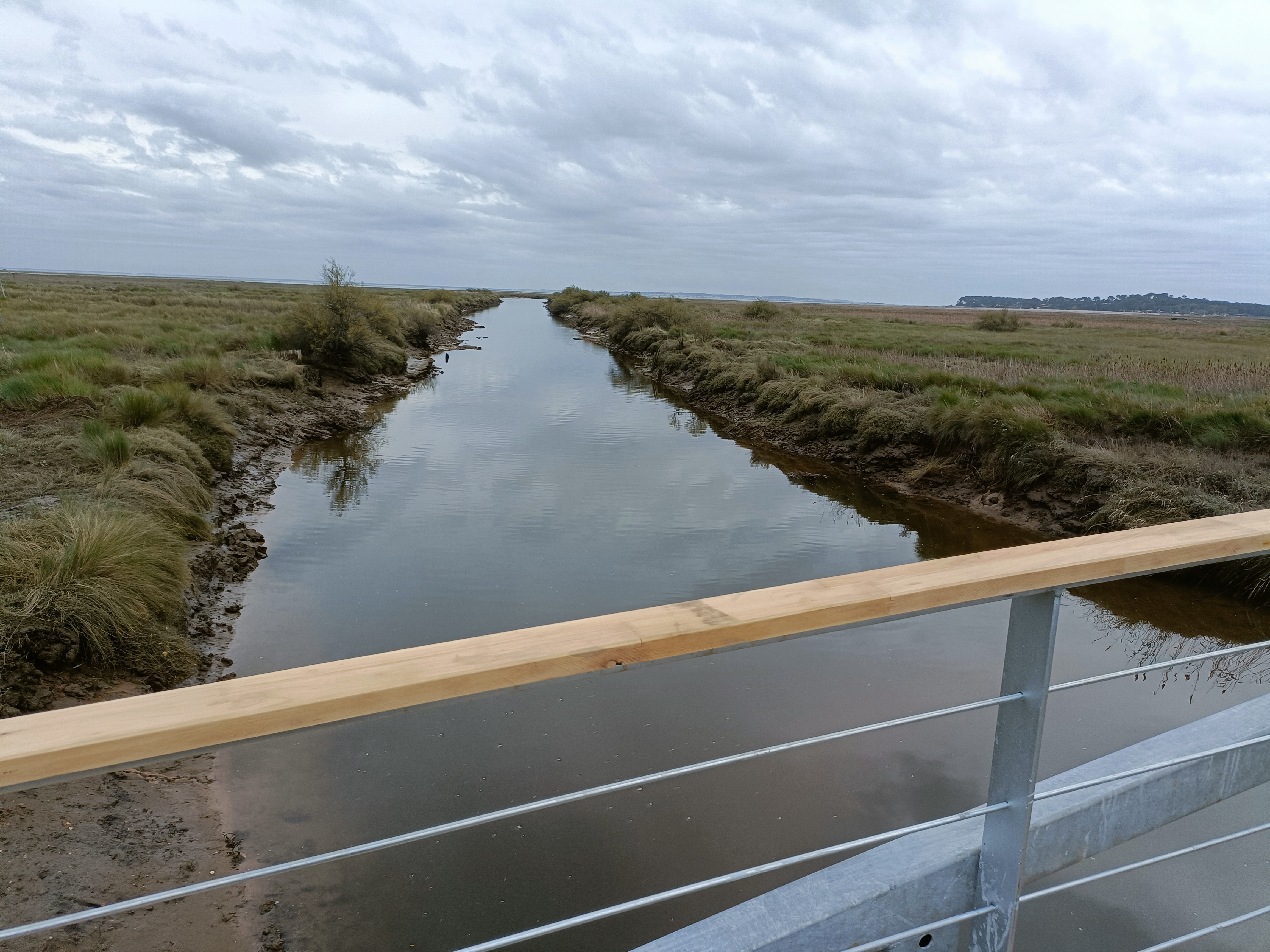 Des nouvelles du côté du Bassin d'Arcachon