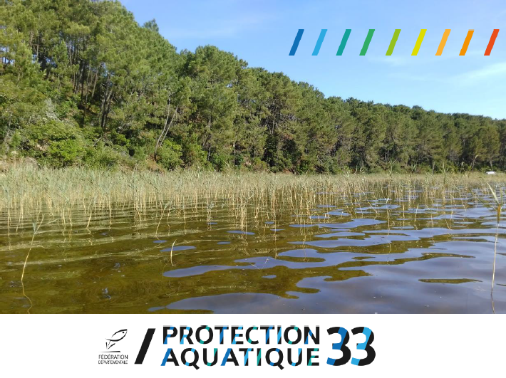 Publication des résultats des 3 années de suivi de la faune piscicole sur les rives des lacs Publication des résultats des 3 années de suivi de la faune piscicole sur les rives des lacs