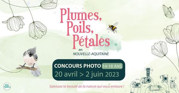 Le concours photo " PLUMES, POILS, PETALES en Nouvelle-Aquitaine " est ouvert jusqu'au 2 juin !