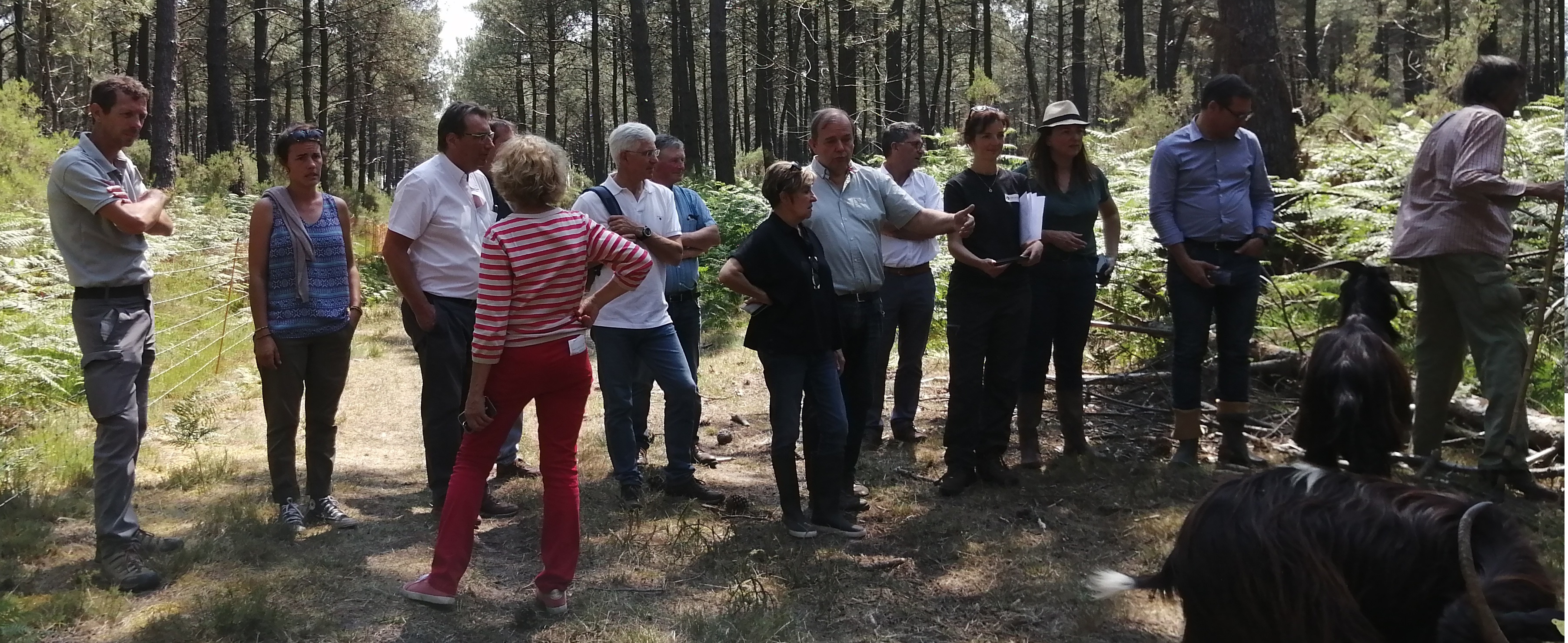 Le SIAEBVELG reçoit Pascale Got et Nicolas Ilbert pour parler de la gestion des zones humides Le SIAEBVELG reçoit Pascale Got et Nicolas Ilbert pour parler de la gestion des zones humides
