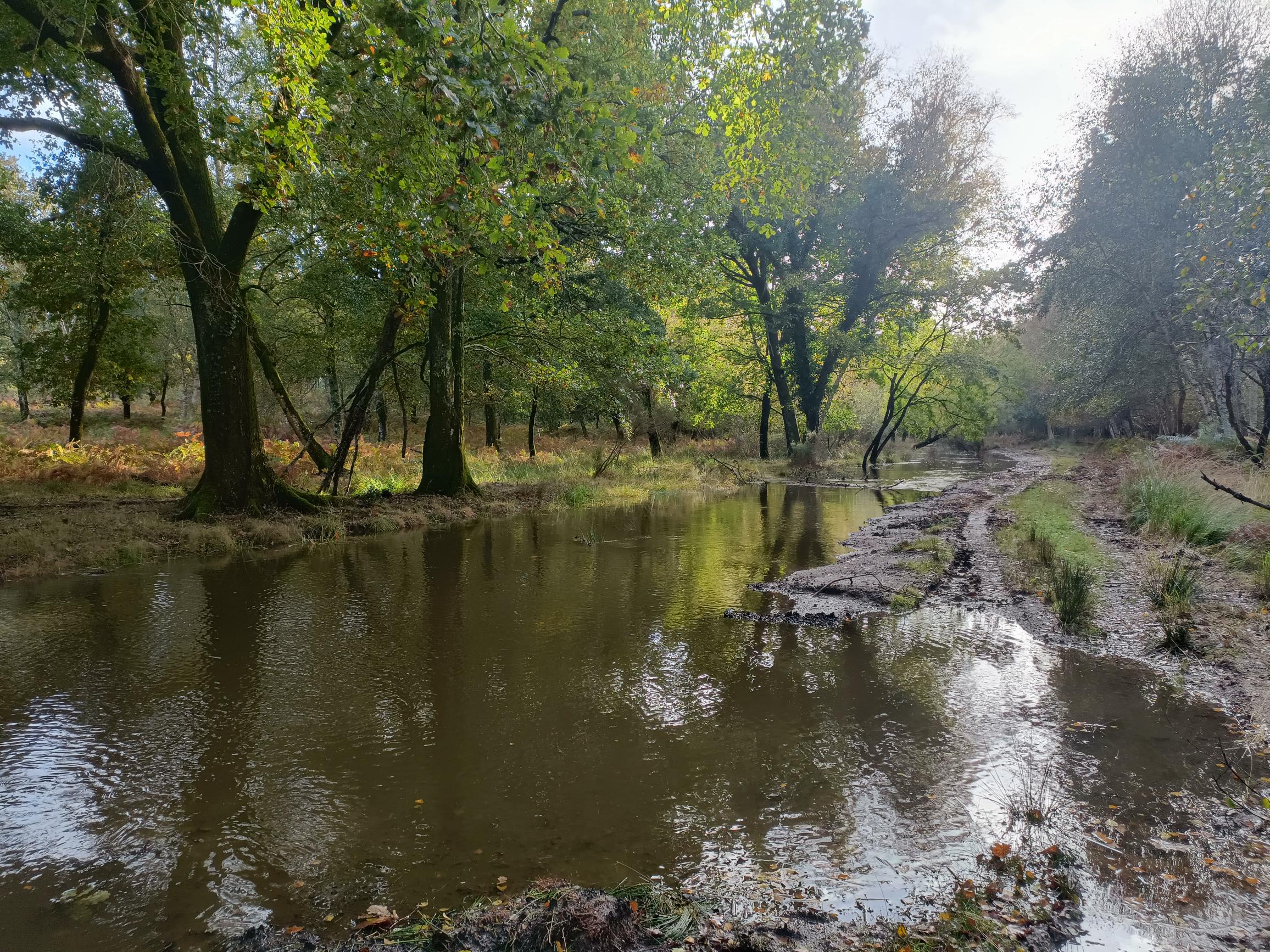 Des travaux d'envergure sur le bassin versant de la Caillava à Hourtin dans un objectif de préservation de la ressource 