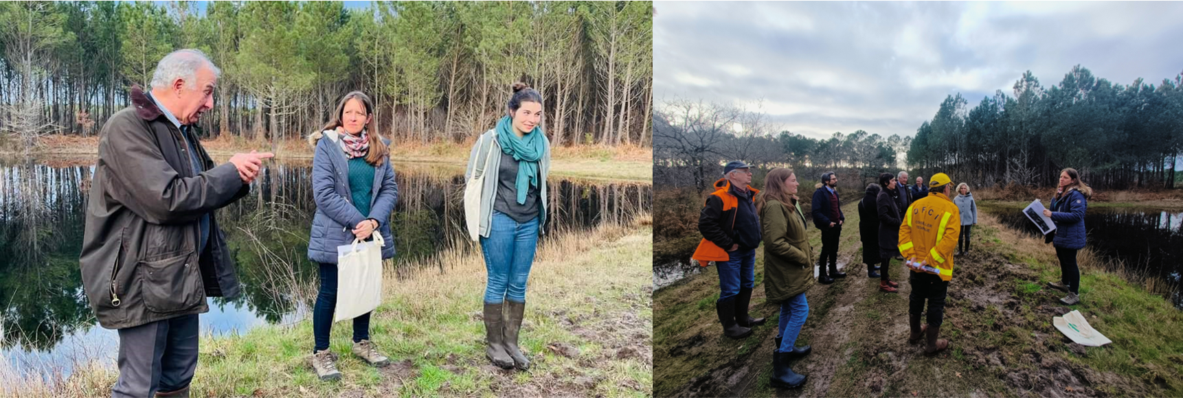 Visite d'une lagune forestière à Ste Hélène avec les élus du Parc naturel régional du Médoc Visite d'une lagune forestière à Ste Hélène avec les élus du Parc naturel régional du Médoc