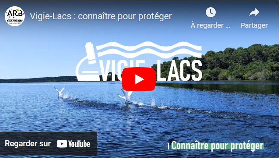Une vidéo pour découvrir le projet Vigie-lacs!