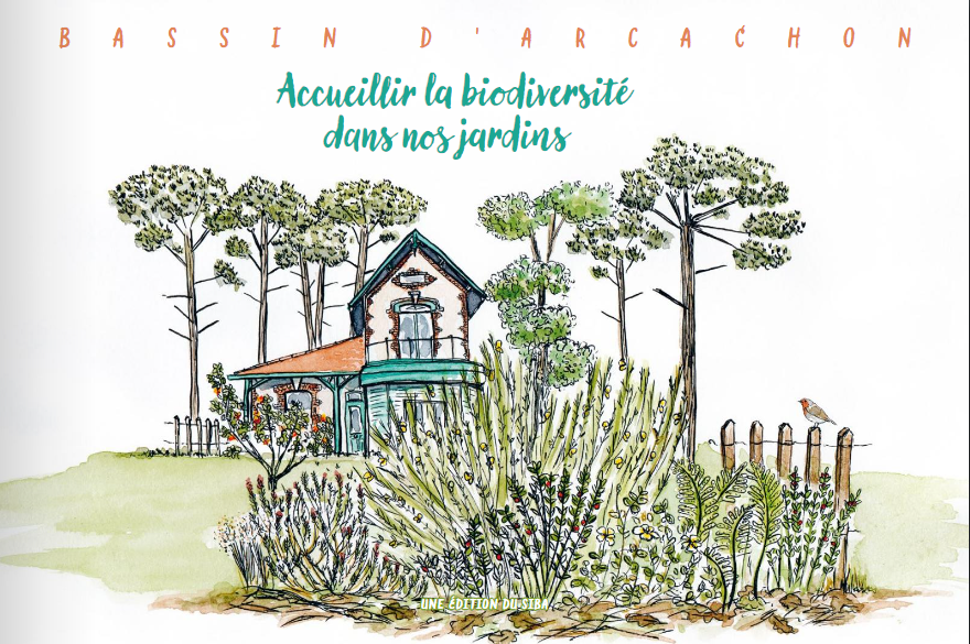 Un nouveau guide : Accueillir la biodiversité dans nos jardins !