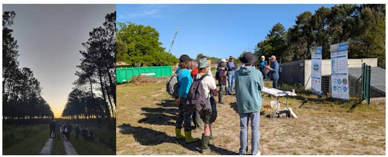 Retour sur les dernières sorties sur les zones humides Retour sur les dernières sorties sur les zones humides