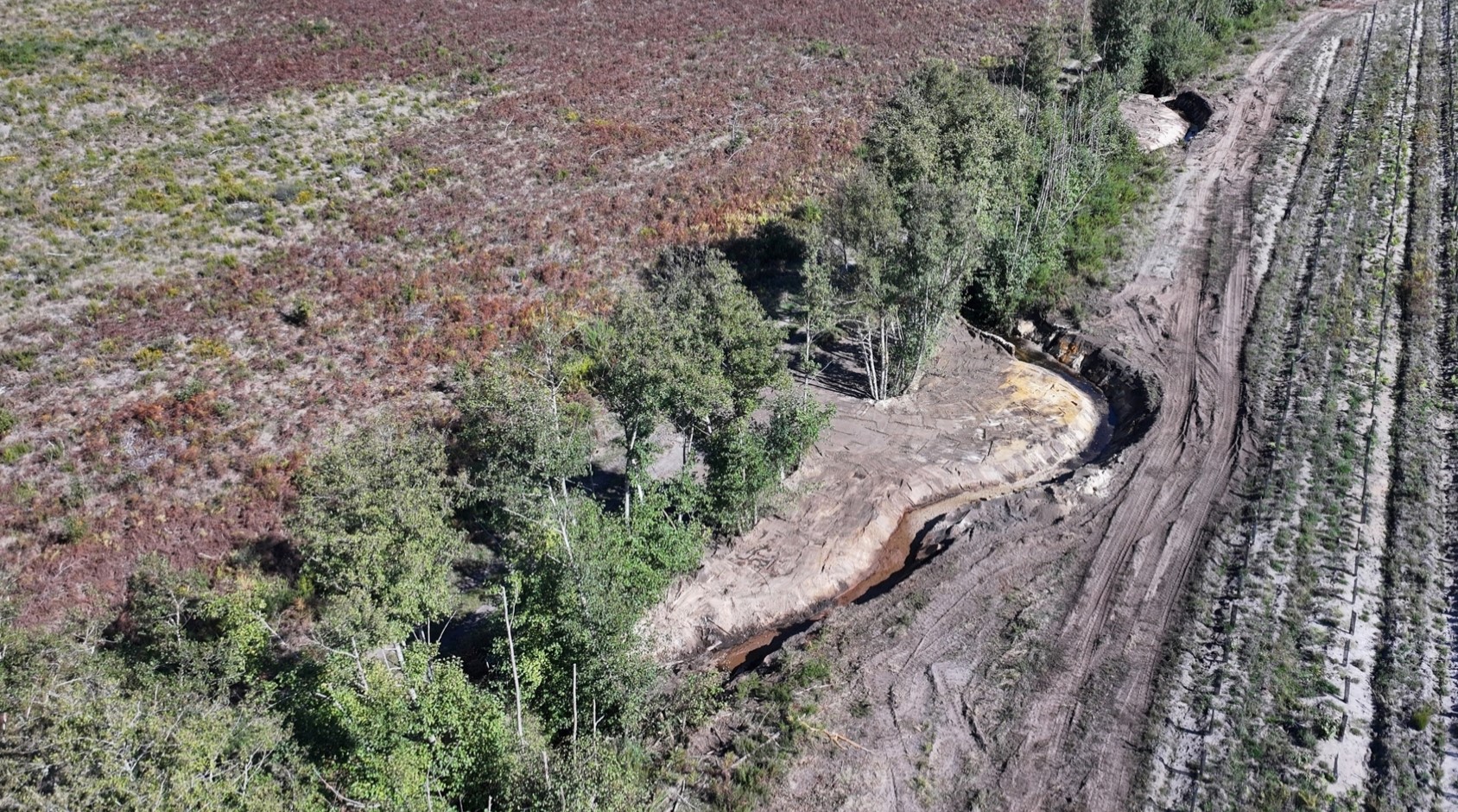 La gestion de l'eau en forêt 