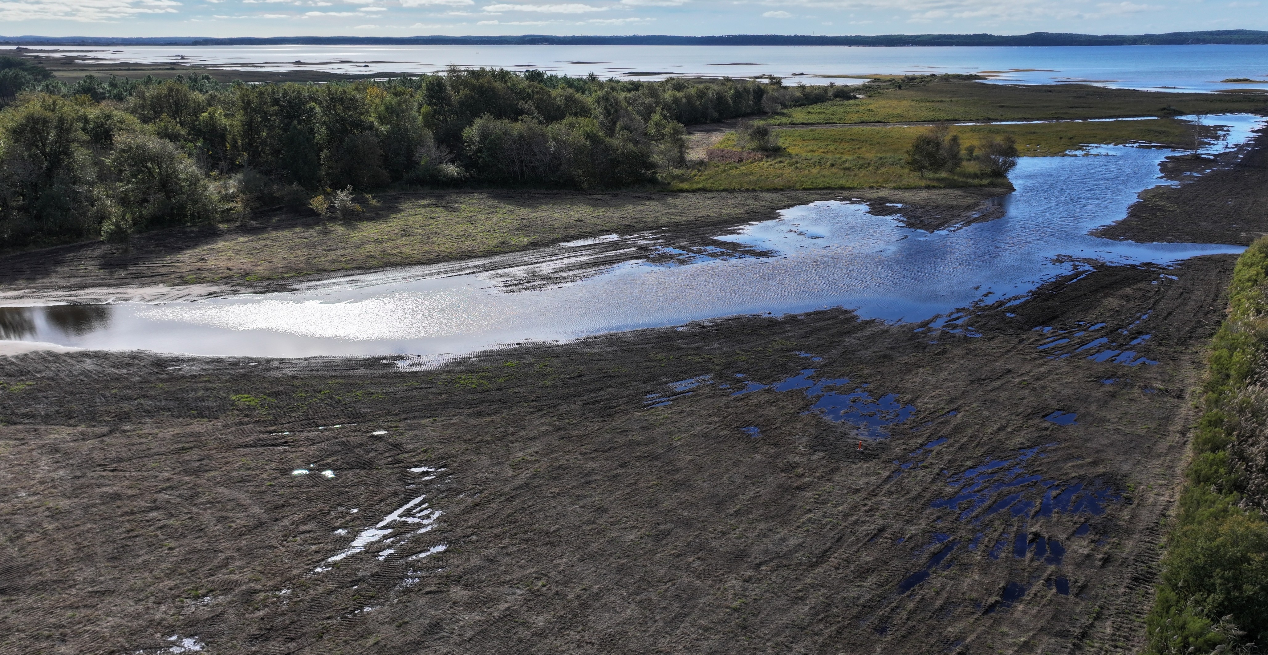 De nouvelles reconnexions de zones humides !