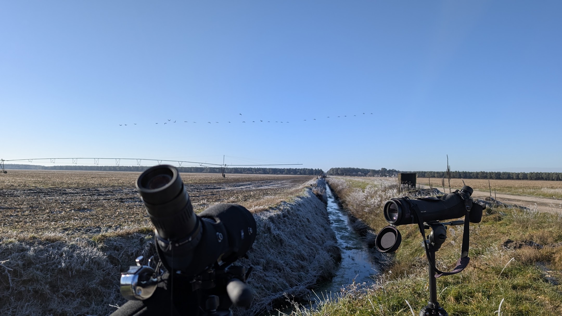 Les suivis hivernaux sont en cours !