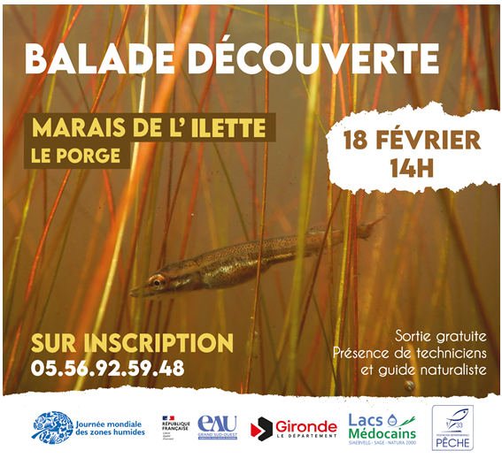 Balade d&eacute;couverte sur la faune piscicole au Porge