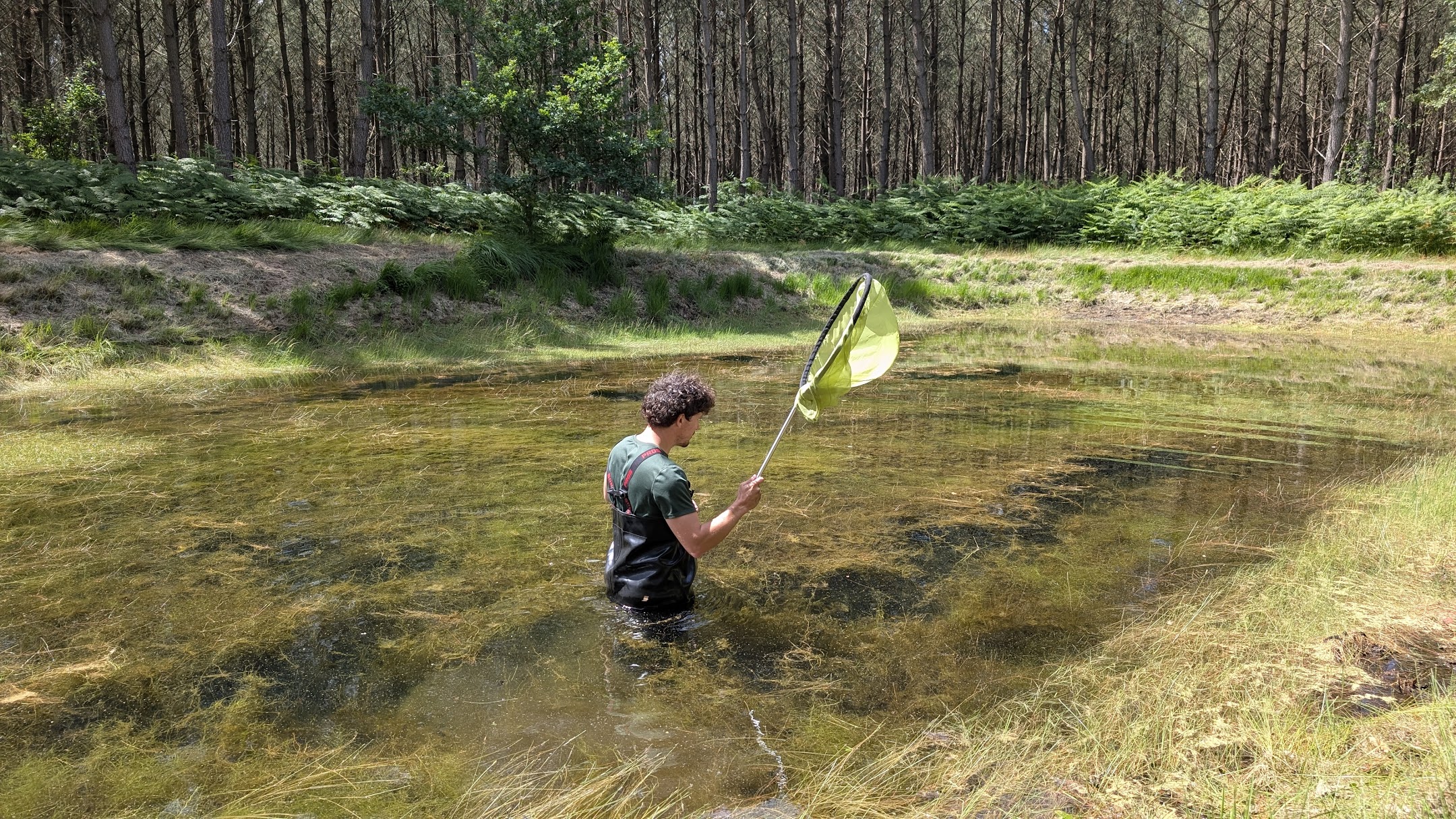 Une belle saison pour les observations naturalistes!