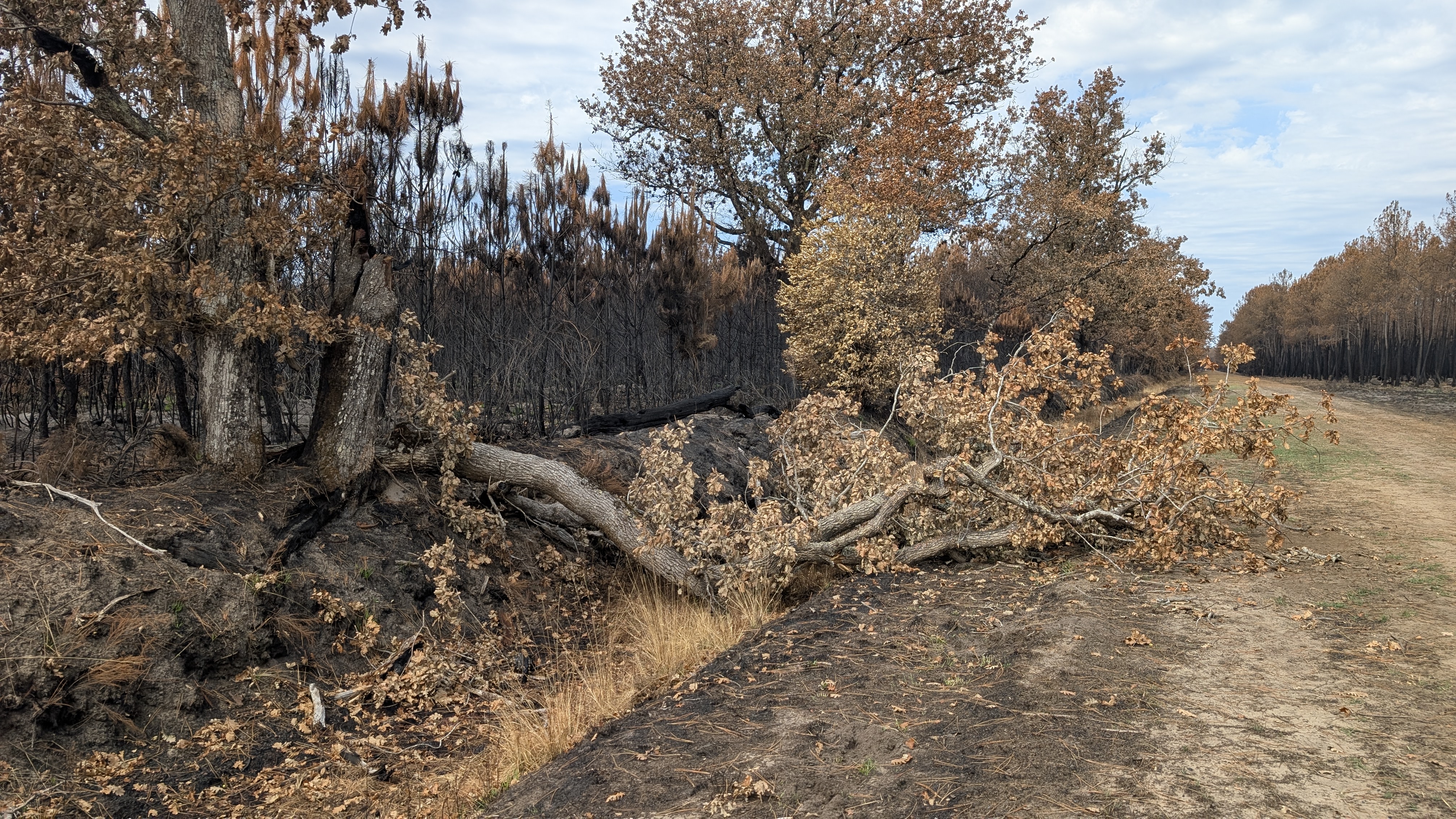 Les travaux d'urgence post incendies ont commenc&eacute; sur les milieux aquatiques