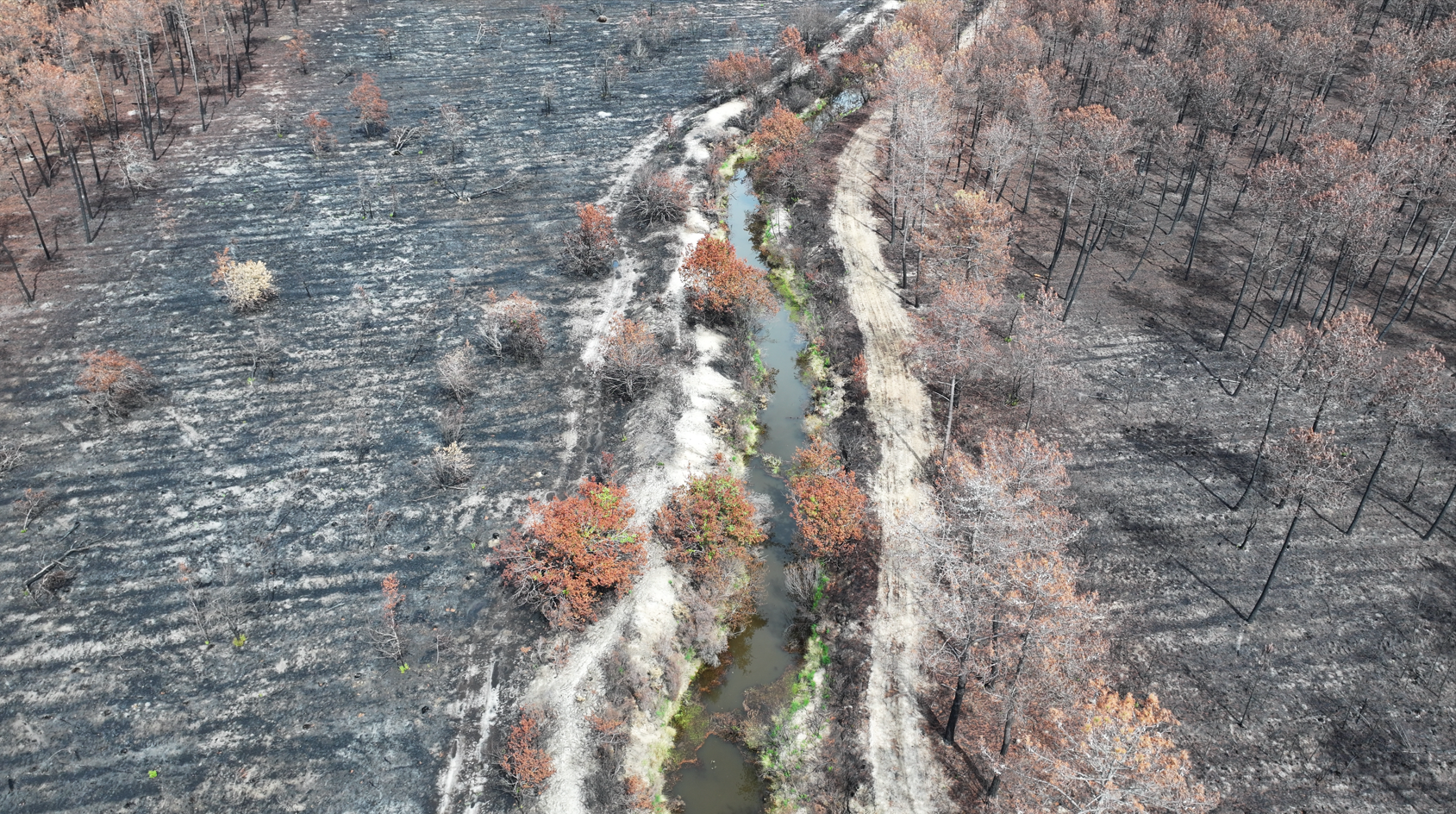 Les diagnostics et premi&egrave;res &eacute;tudes post incendies d&eacute;j&agrave; lanc&eacute;es au SIAEBVELG